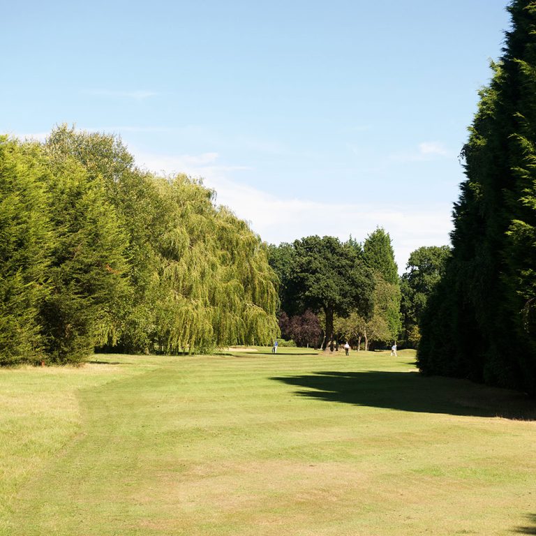 Coaching & Custom Fitting Lavender Park Golf Club in Ascot